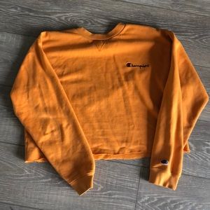 Cropped Champion Crewneck